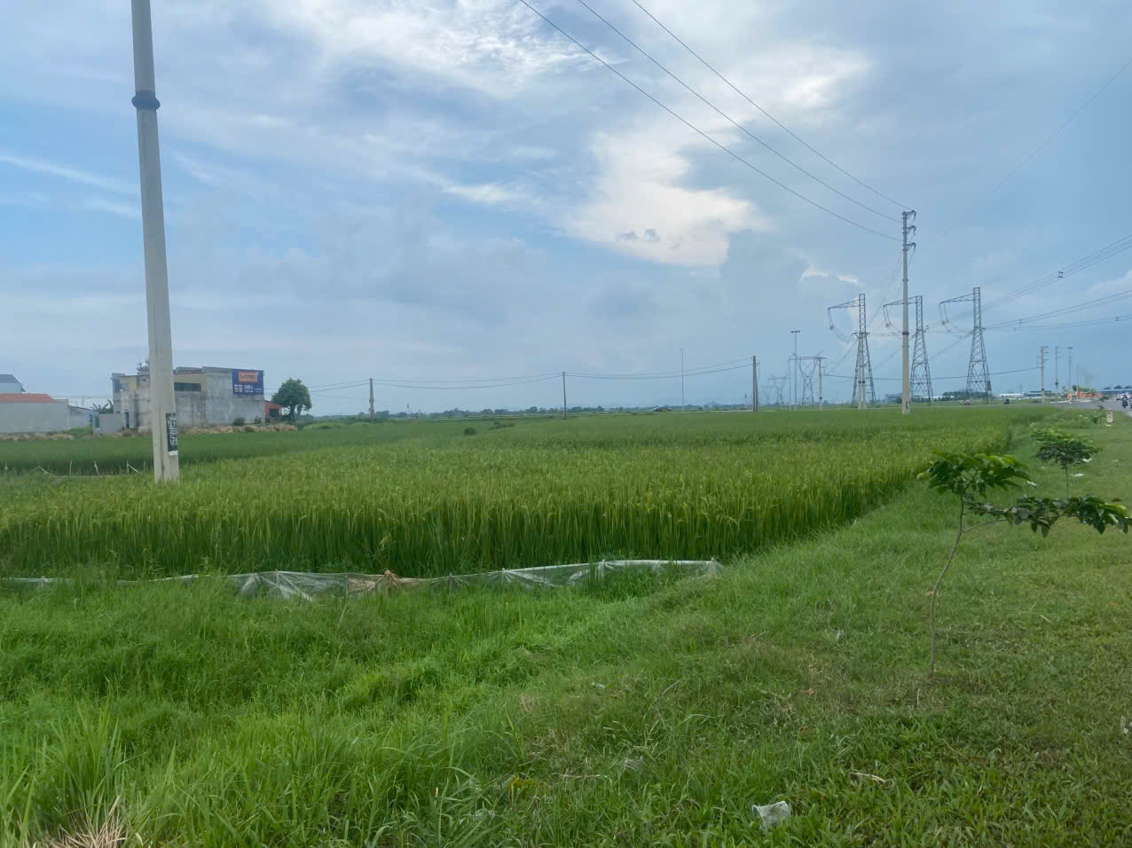 Dự án xưởng gia công, sản xuất thùng hộp Carton Việt Nam tại xã Định Tân